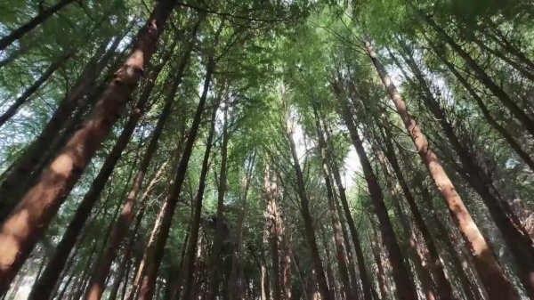 《这一程》EP.20｜7/26 云南玉昆VS深圳新鹏城